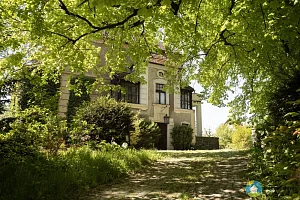 Vila Františka Schneiberga (Exteriér), autor: svoboda-williams.com, datum: 2025