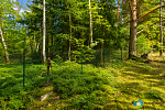 Mlýn Překážka (Exteriér), autor: Radomír Kočí, datum: 6.8.2026