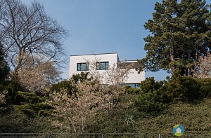 Vila Stanislava Mojžíše (Exteriér), autor: Radomír Kočí, datum: 2.4.2017