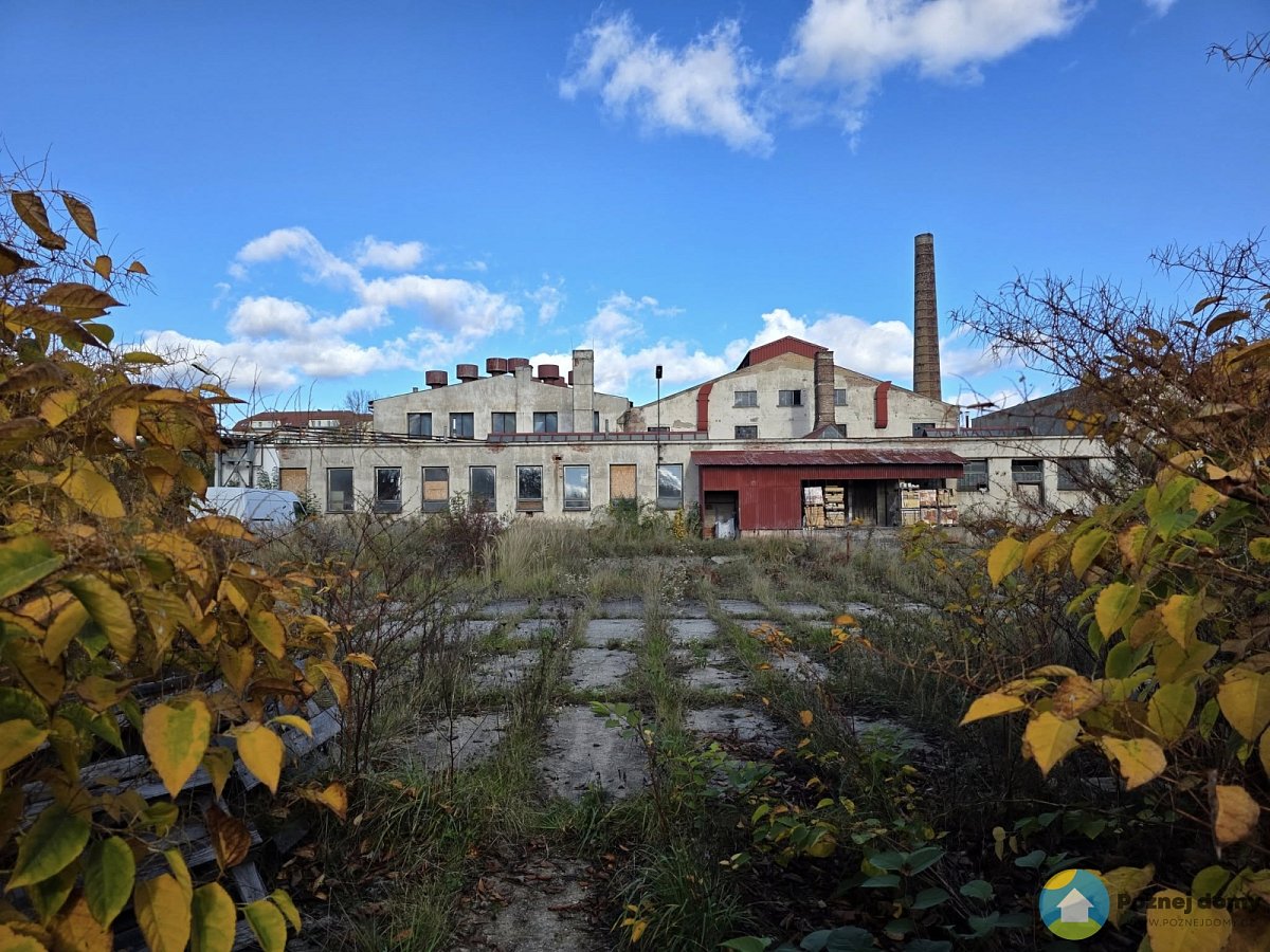 Sklárna Flora - Hantich (Exteriér), autor: Tomáš Bezděk, datum: 18.10.2025