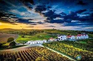 Vinařství Mikrosvín Mikulov (Exteriér)