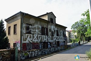 Domeččí koťátko (Exteriér), autor: Šárka Těšík, datum: 23.9.2017